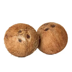 Coconut
