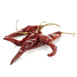 Guajillo chili