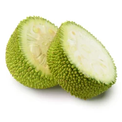 Jackfruit