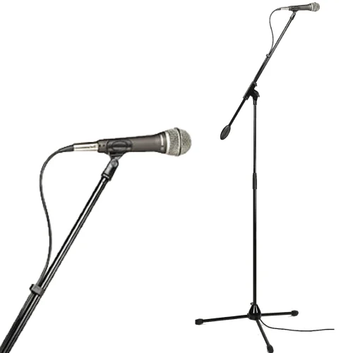 Microphone