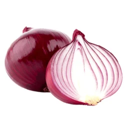Onion