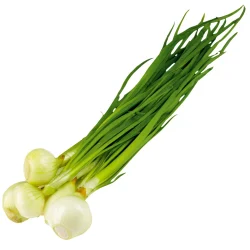 Onion