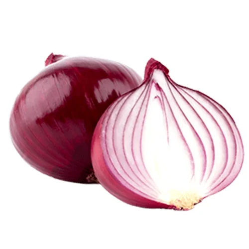 Onion