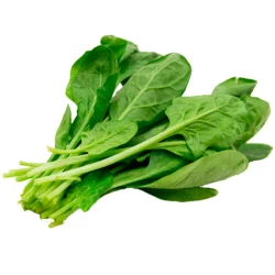 Spinach