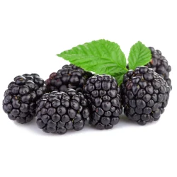 black raspberry