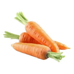 carrot