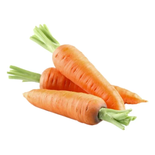 carrot