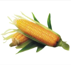 corn