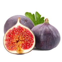 fig