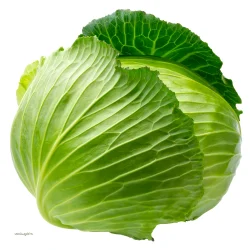 Green Cabbage
