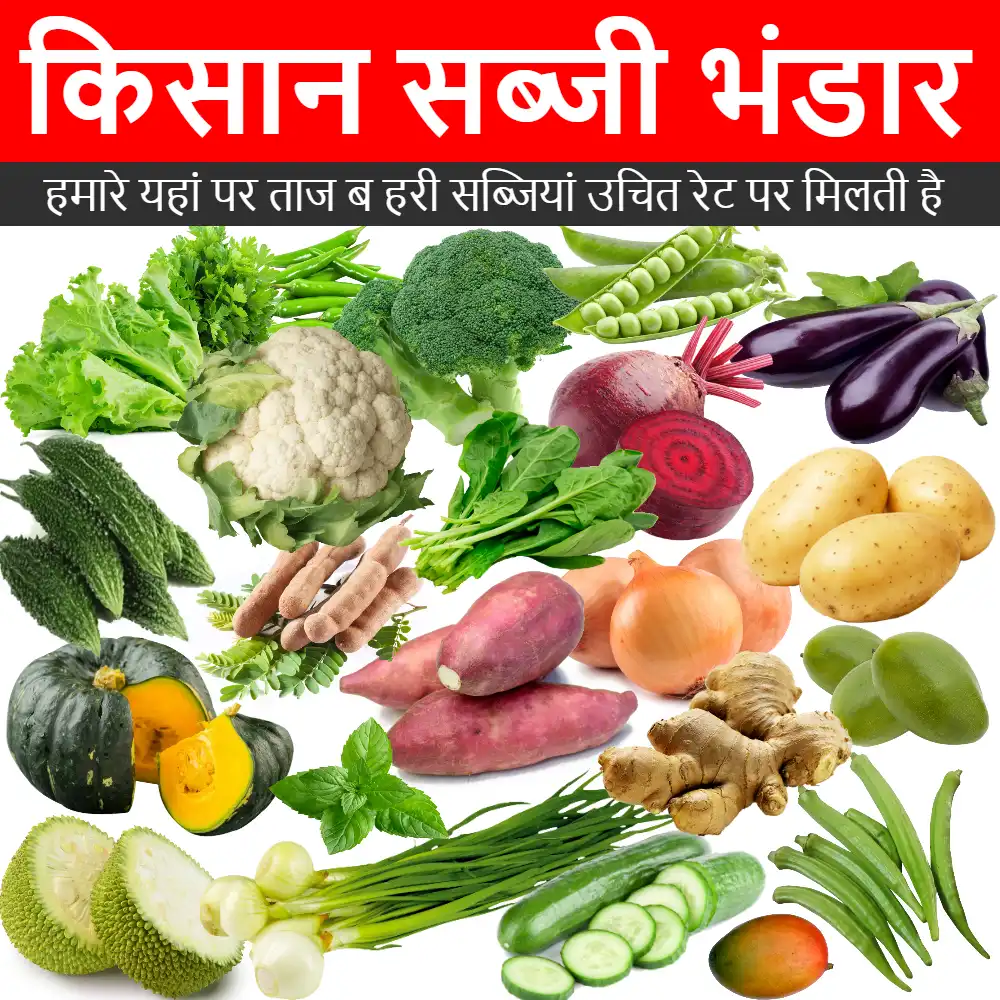 hindi mobile