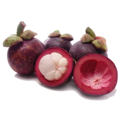 mangostine
