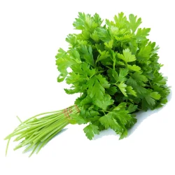 Parsley