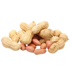 peanut