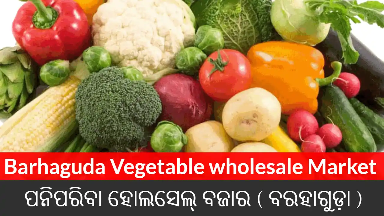 Barhaguda Vegetable wholesale Market