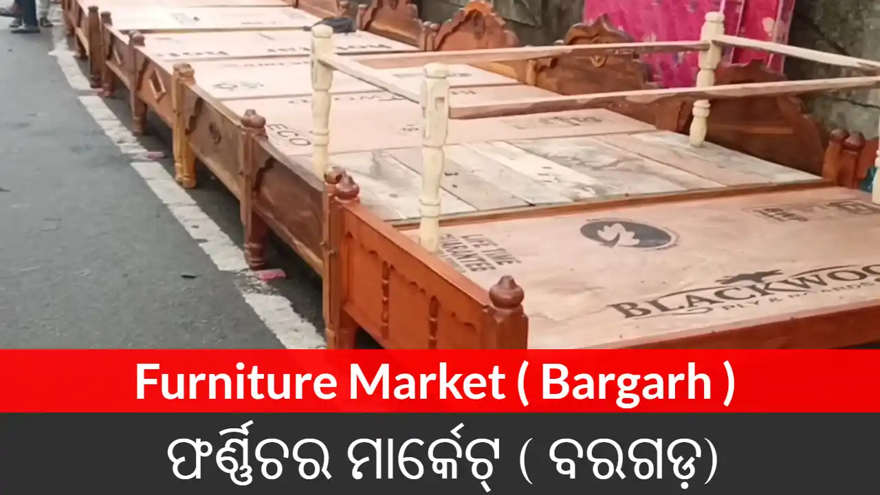 Furniture Market ( Bargarh )