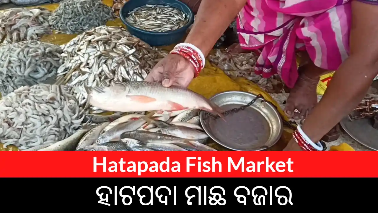 Hatapada Fish Market