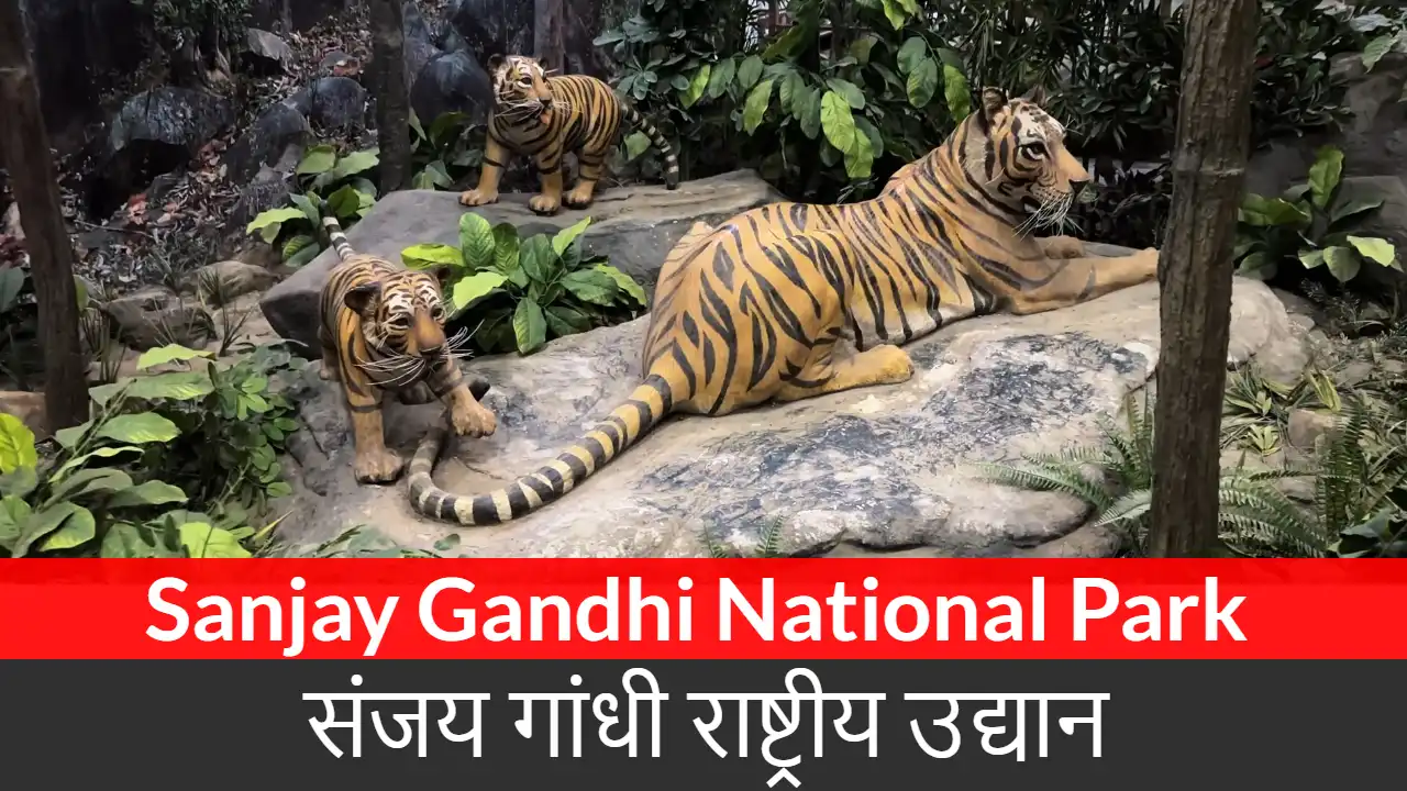 Sanjay Gandhi National Park