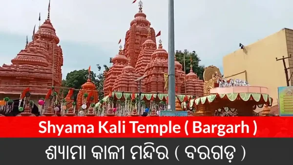 Shyama Kali Temple ( Bargarh )