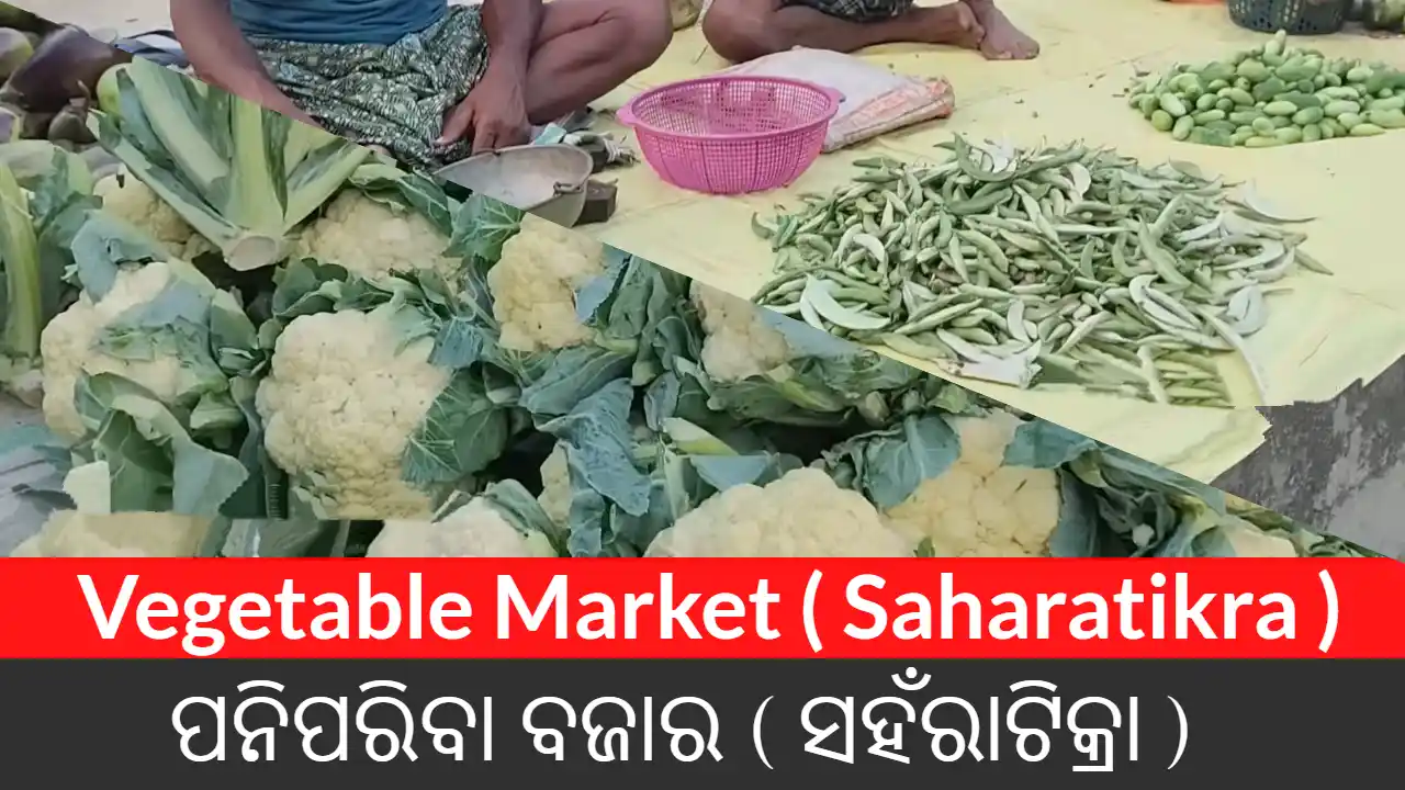 Vegetable Market ( Saharatikra )