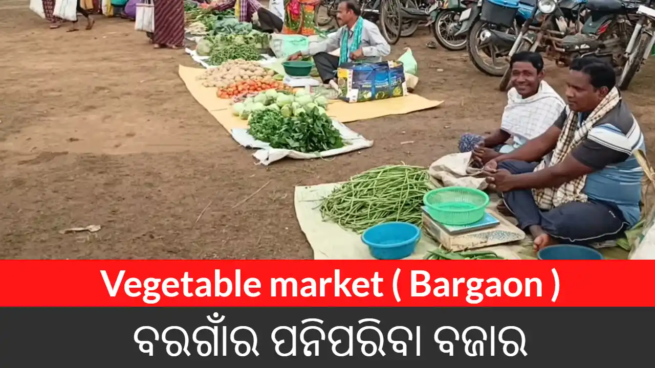 Vegetable market ( Bargaon )